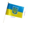 10 PCS Handheld Ukraine Flags,8.5×5.5 Inch Ukrainian BannerFor Indoor Outdoor