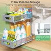 Under Sink Organizer, 2 Pack 2 Tier Pull out Cabinet