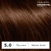 CLAIROL COLOUR STRONG PERMANENT HAIR DYE - 5.0 MEDIUM BROWN