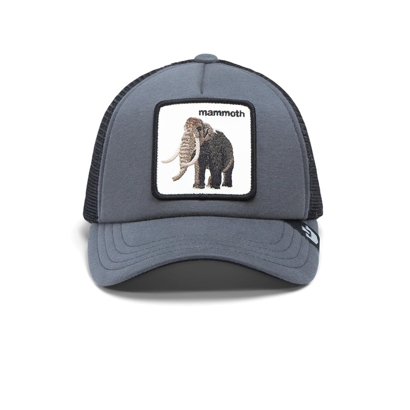 Goorin Bros. Extinct Kids Collection Trucker Hat for Boys and