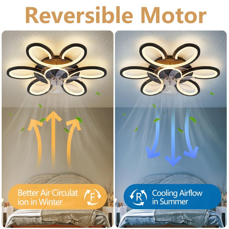 Black-Star ring Ceiling Fans with Lights and Remote, 27 Inch