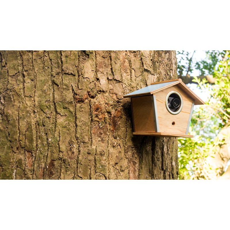 Brinno MAC200DN Portable Motion Activated Wireless Outdoor Security Camera (Black)