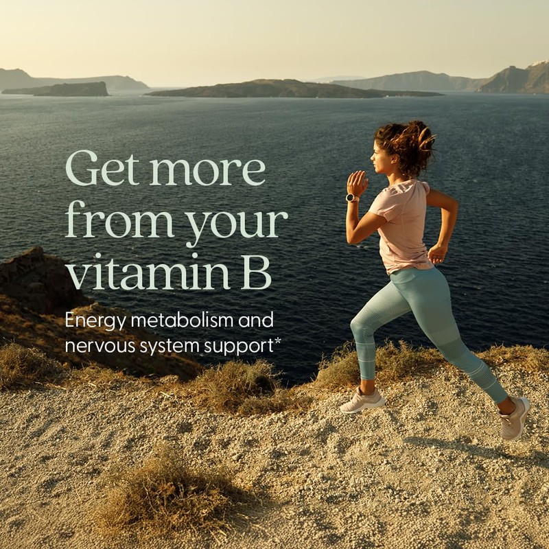 New Chapter Vitamin B Complex – Fermented Coenzyme B Complex