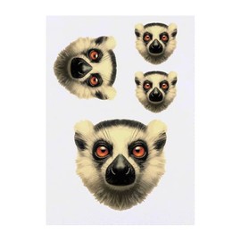 4 x 'Lemur Portrait' Temporary Tattoos - Water Resistant, Skin-Safe, Non-Toxic Transfers, Mixed Sizes (TO00077618)