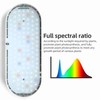 Small Tabletop Plant Light 10W 4 Brightness Adjustments Full Spectrum