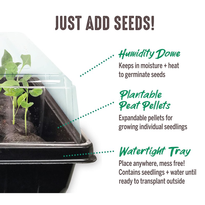 Jiffy Seed Starting Tray Kit, 36 Cell 36mm Peat Pellets