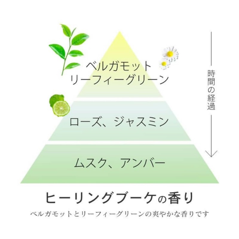 プロマスター カラーケア カーミー トリートメント ポンプ 600g 3個セット + Kunutonnオリジナルロゴ入りeおまけ付