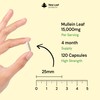 Mullein Leaf Extract for Lungs 15,000mg – High Strength 50:1