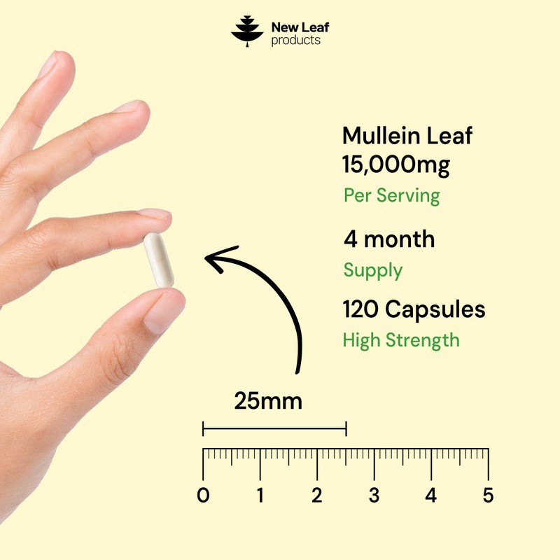 Mullein Leaf Extract for Lungs 15,000mg – High Strength 50:1