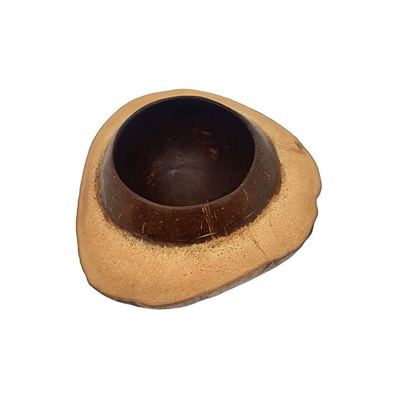 VIE Coconut Bowl Natural Round Shell Large 22-25 cm Outer