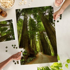 Lantern Press Redwood Forest Road Photography A-91535, 1000 Piece Jigsaw Puzzle for Adults, Made in USA with Reference Poster