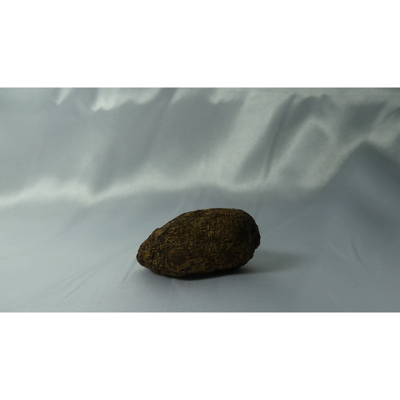 VANLAV HIGH John The Conqueror Root (1PC), brown