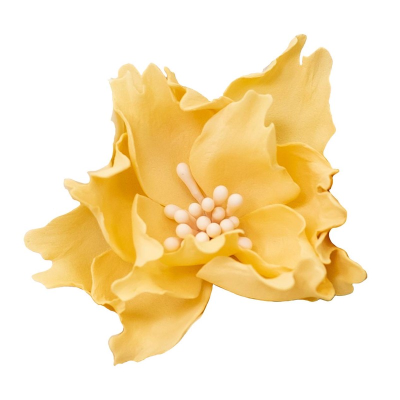 Crafter's Companion CC-TOOL-PETD Petal Distress Tool Set, Multi-Colour, One Size