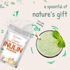 Micro Ingredients Organic Chicory Root Inulin Fiber Powder, 2 lb