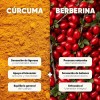 Cúrcuma y Berberina Homodeus: Suplemento con Cápsulas para Bienestar Articular