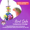 Super Bird Creations SB1085 Flower Power Bird Toy, Small/Medium Bird
