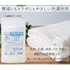 Scallop Eco Washing Powder 600g