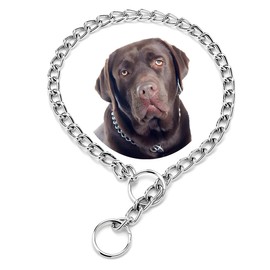 Chain Choke Collar for Dogs, Silver XS Metal Slip Link Training Heavy Duty Dog Choker Collar Martingale Puppy Collars for XXS XS Small Medium Large Big XL Breed Dogs