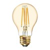 (2 bulbs) GE 48556 Vintage Style, Amber Glass A19 LED