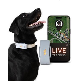 PAJ GPS Tracker for Dogs - 4G GPS Collar Tag with Real-Time Location Tracking & Runaway Alert - Waterproof & Up to 10 Days Battery Life - Fits Any Collar w/Glowing LEDs - Subscription Required - Grey
