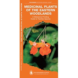 Medicinal Plants of the Eastern Woodlands