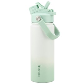 KEWIXY Stainless Steel Water Bottle 500 ml/18 oz, 2-in-1 Lid, Insulated Water Bottle with Straw, Leak Proof, Carry Handle, Fits Cup Holders, for Sports, Gym, Work (ICY Mint)