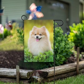 Hokkien BlueViper Cute Fluffy Pomeranian Dog Garden Flag Double Sided 12 x 18 Inch, Yard Flags, Decorative Small Garden Flags, Outdoor Lawn and Garden Décor