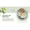 Chios Mastiha Tears Gum griego 100 % natural Mastic Packs