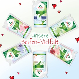 Frosch Reine Pflege Granatapfel Cremeseife, pflegende Handseife zur sanften und hygienischen Reinigung, Nachfüllbeutel, 500 ml, 1er Pack (1 x 500 ml)
