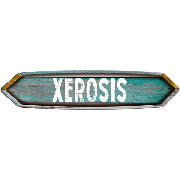 XEROSIS Double Point Rustic Teal Color Painted Wood Look Magnet