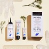 Phyto PhytoColor Permanent Color - 5.3 Light Golden Brown