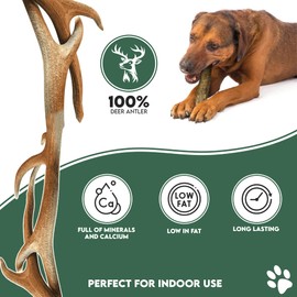 Highland Antler - Natural Fallow Antler Dog Chew. Pack of 1x Large (150g - 220g) Naturally Shed Fallow Deer Antler, Long Lasting Dog Chew Bone With Calcium And Minerals (Shape may vary)