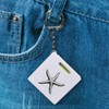 'Single Starfish' Keyring Tape Measure/Spirit Level Tool (KM00041819)