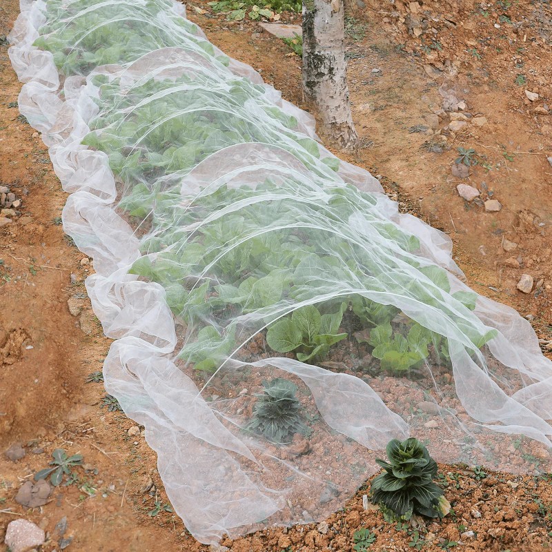 Garden Netting 8x24Ft, Plant Covers, Barrier Mesh for Plant Vegetables