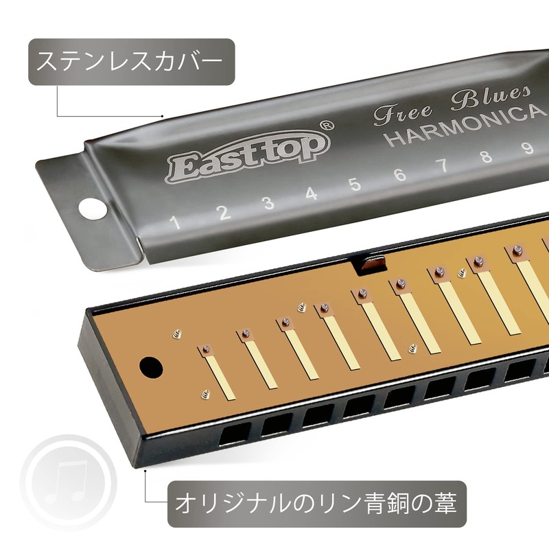 East Top Harmonica, Beginner, Blues Harmonica, C-tone, 10 Holes, 10