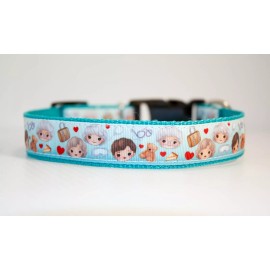 Golden Girls dog collar and/or leash. 1 inch wide - 6 ft. leash