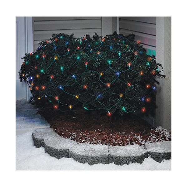 Celebrations LED Traditional Twinkle Net Light Set Multicolored 24 ft.