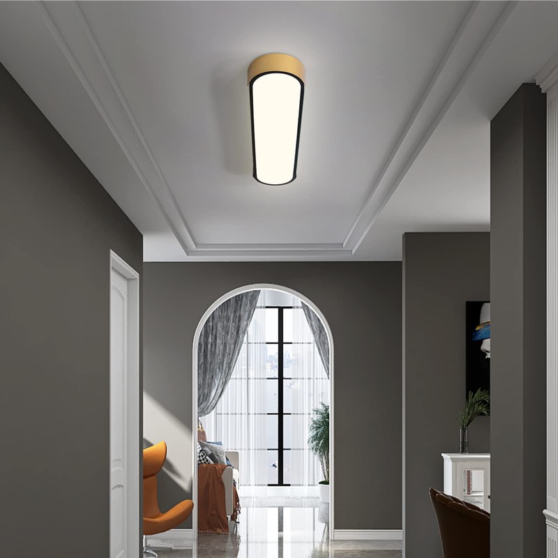 Tioolo Dimmable LED Ceiling Light with Remote 42W Kitchen Lighting