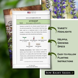 Sow Right Seeds - Hyssop Seed for Planting - Medicinal Herb to Plant in Your Garden - Outdoors - Attracts Pollinators - Stunning Purple Flowers - Non-GMO Heirloom Seeds - Great Gardening Gift (1)