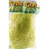 Extra Large Bag of Green Easter Craft Grass for Baskets Or Bonnets