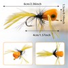 Complete Fly Fishing, Bristle Flies with Case, 5 Colors, Set