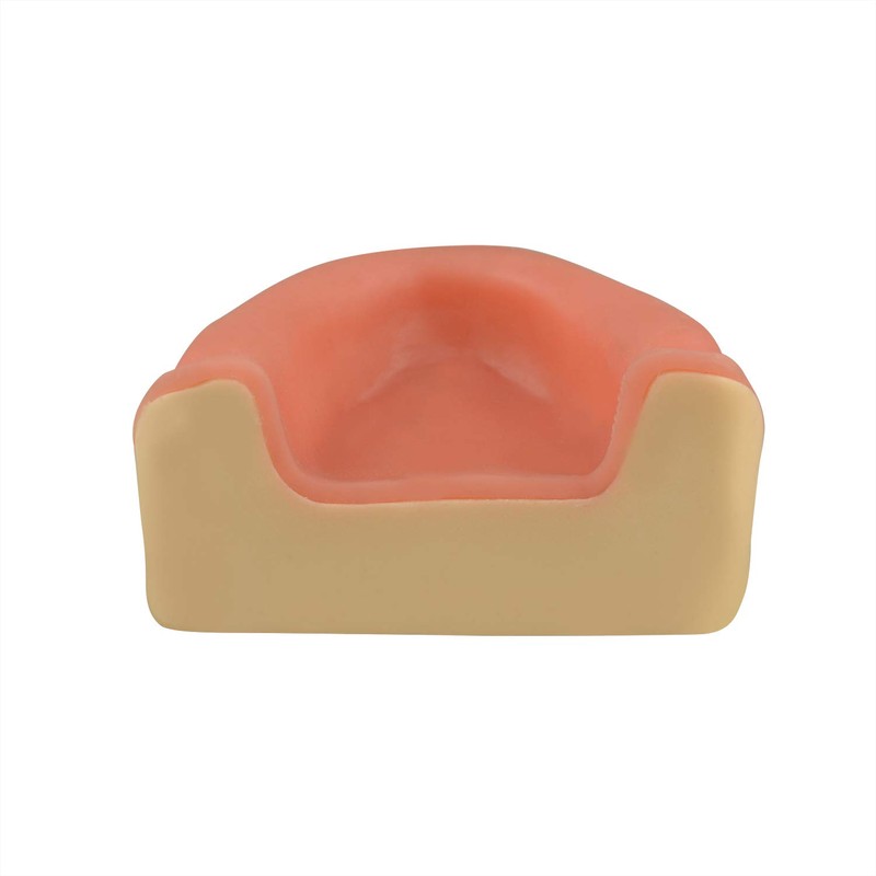 Ultrassist Dental Implant Training Maxillary Edentulous Model, Simplified Maxilla with
