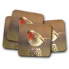 4 Set - Cute Robin Coaster - Bird Redbreast Twitcher