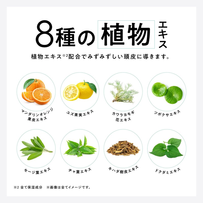 ICY ZAP Cooling Scalp Serum Summer Sherbet Scent