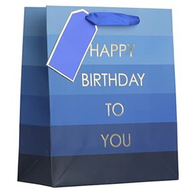 Partisan Products Happy Birthday Boy Blue Occassions Gift Bag With Gift Tag Made From Recycled Board Medium