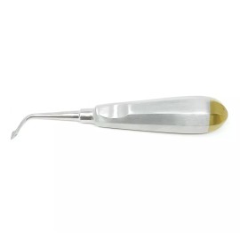 Unbranded Bernard Dental Tooth Surgery Right Spade Concave Root Tip Elevator  Gold Economy