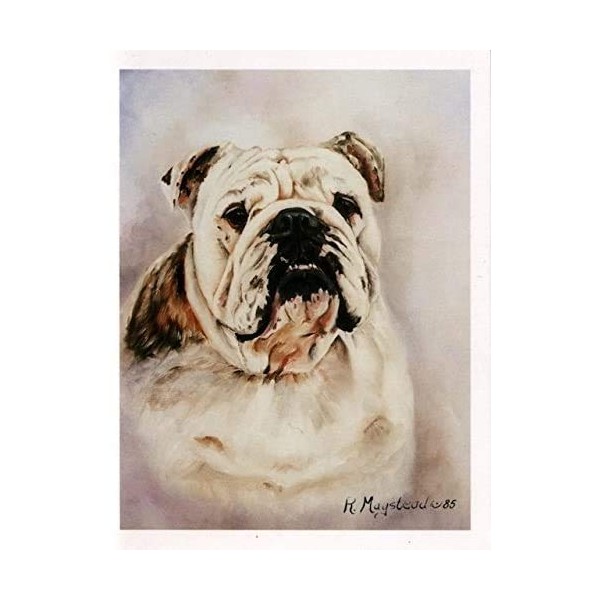Bulldog Pet Dog Portrait Notecard Set - 12 Note Cards