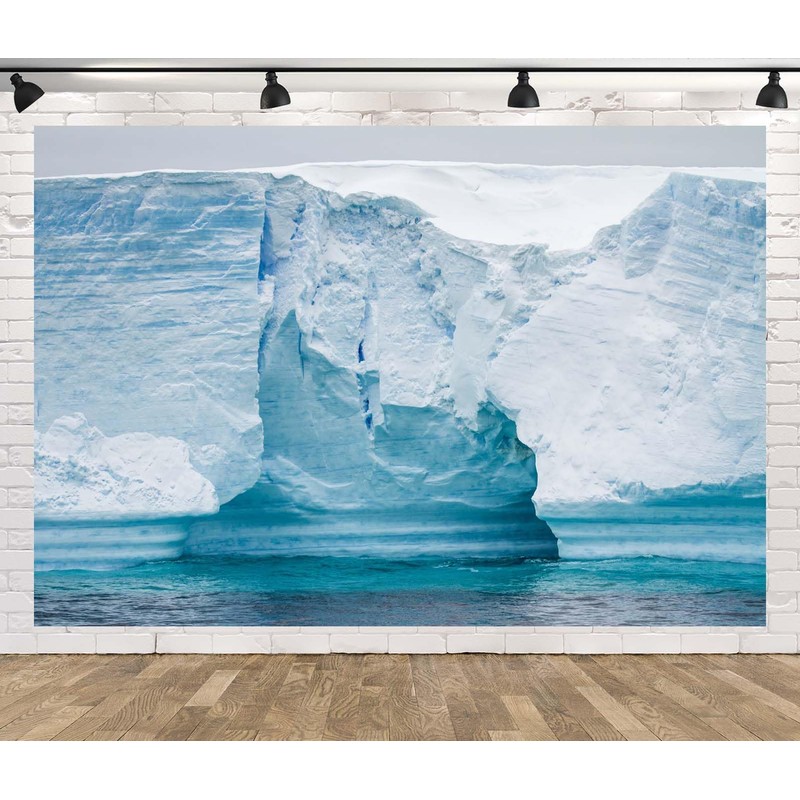 Loccor 8x6ft Fabric Antarctic Iceberg Backdrop White Glacier Snow Mountain