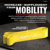 COBRASIX Resistance Bands for Working Out Men and Women |
