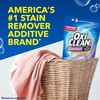 OxiClean Odor Blasters Odor and Stain Remover Laundry Power Paks,